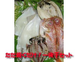 ただ焼くだけ!一夜干セット