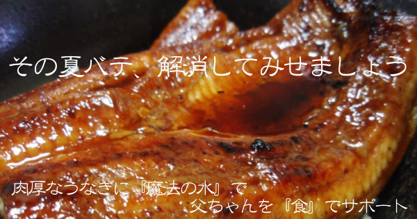 うなぎには銀の翼・越淡麗大吟醸